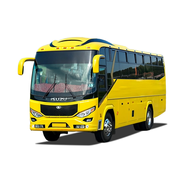 Buses